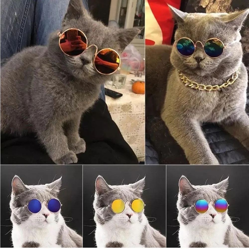 Cool Pet Cat Small Dog Dog, Pet Sunglasses